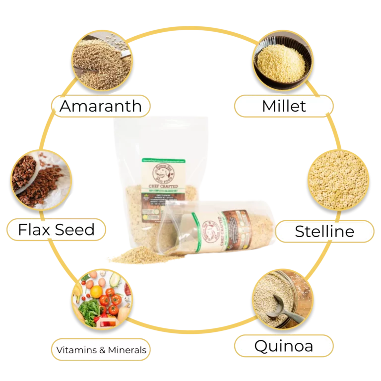 Visual diagram showing Simon’s Dog Food mix ingredients: amaranth, millet, stelline, quinoa, flax seed, and added vitamins & minerals — surrounding the product pouch and measuring cup.